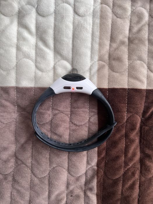 Laser inteligent pentru pisici