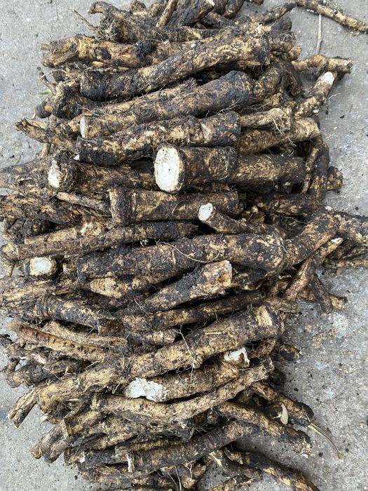 Miez de nucă, hrean, cimbru,mentă