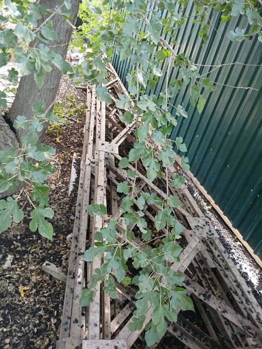 Фирма продаются, российские арматура