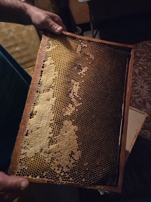 Рамки для пчеловодства с медом