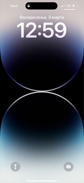 Продам тюльпаны