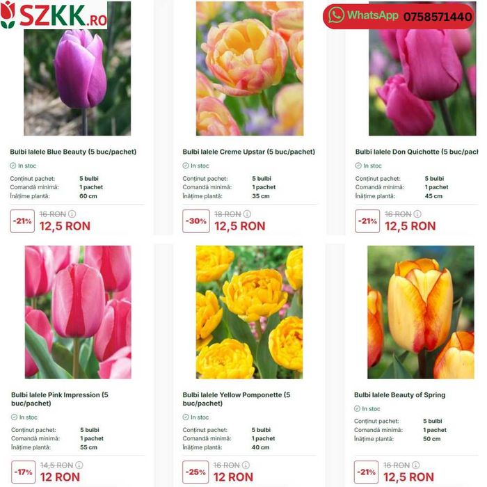 Bulbi de lalele la pret de extrasezon - lichidare stoc!