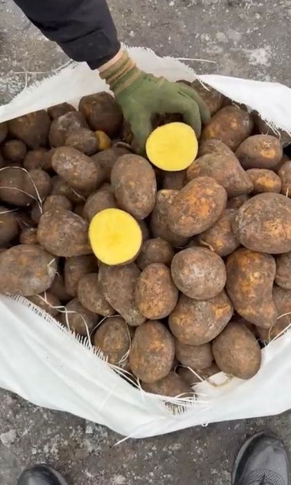 Продам картофель микс оптом