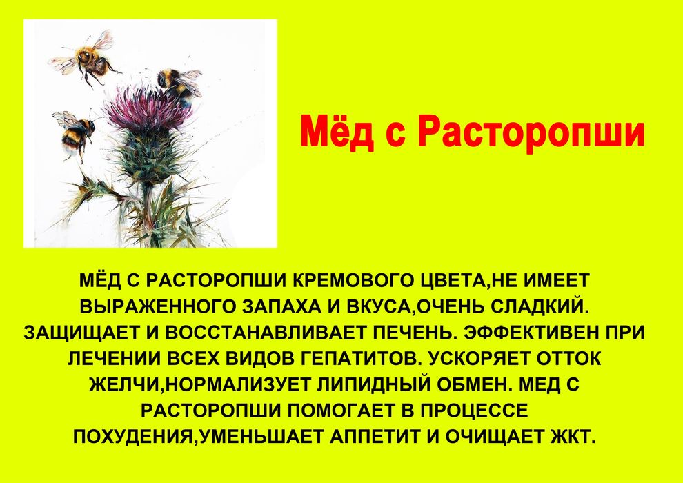 Asaldori Башкирский мёд
