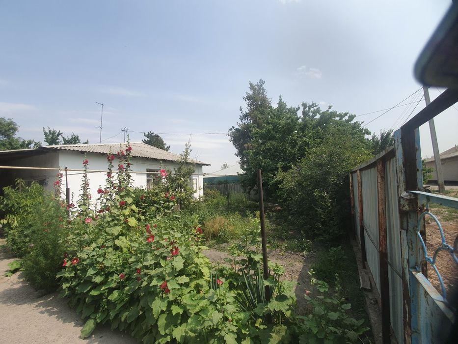 продаётся дом 13,5 соток