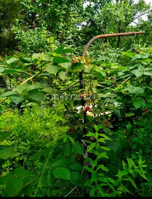 Продам дачу Талгарский район