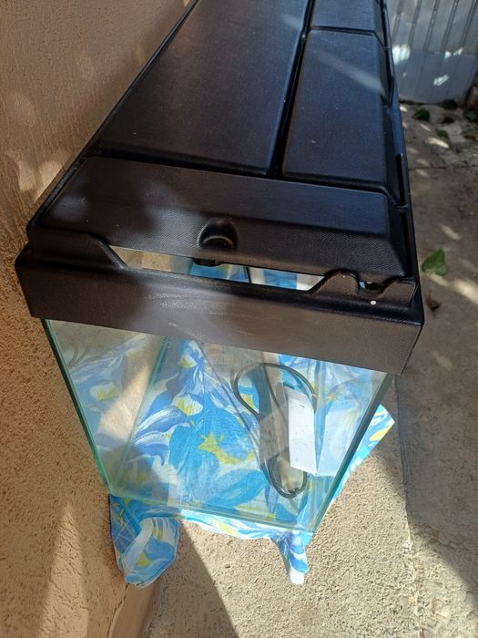 Acvariu 100 L   cu capac   si neon