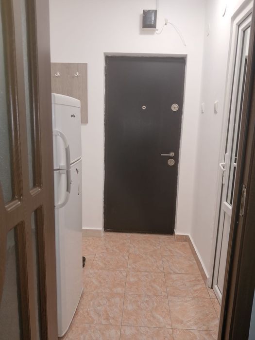 Inchiriez garsoniera,Brazda lui Novac