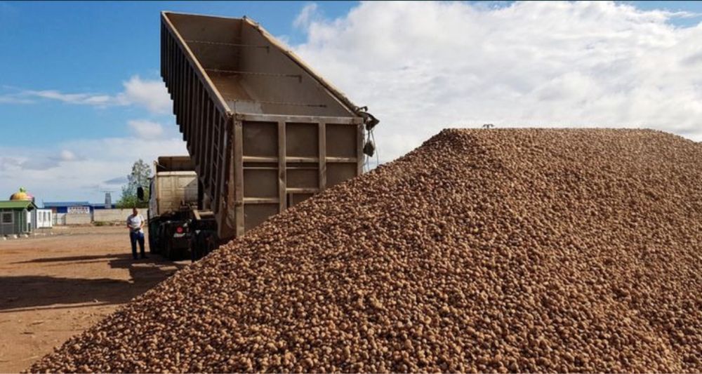 Керамзит Кубами в Мешках