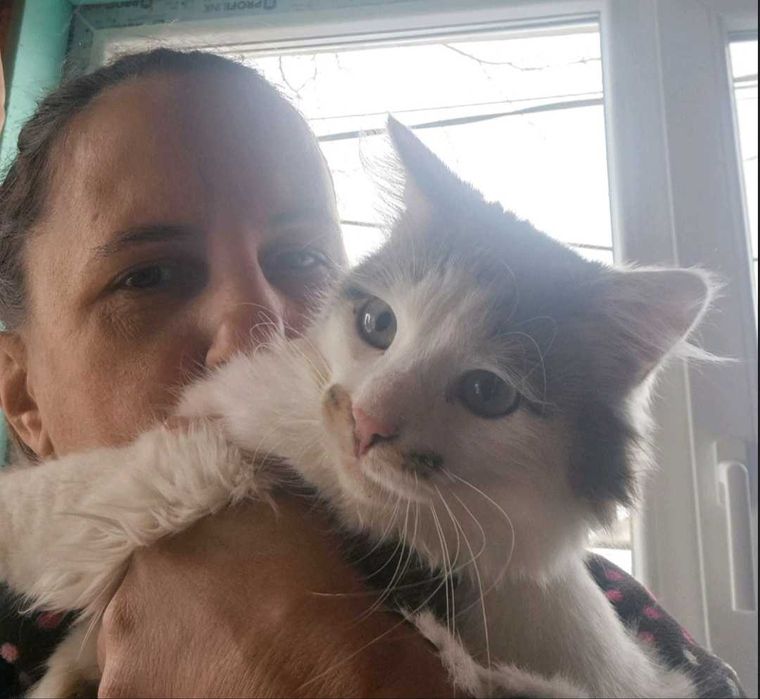 6-месечният Памукчо търси дом!