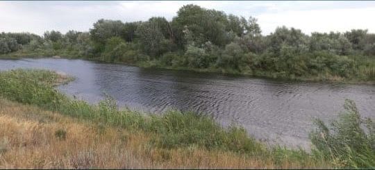 Продам дачу месты 8 сотое