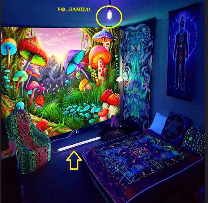 FOSFOR neon boyuk ichki va tashkari bezak