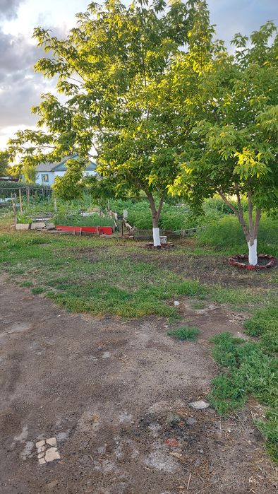 Продам дом одного хозяина.