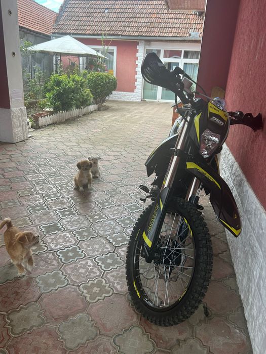 Alfarad T7 250cc (30 ore)