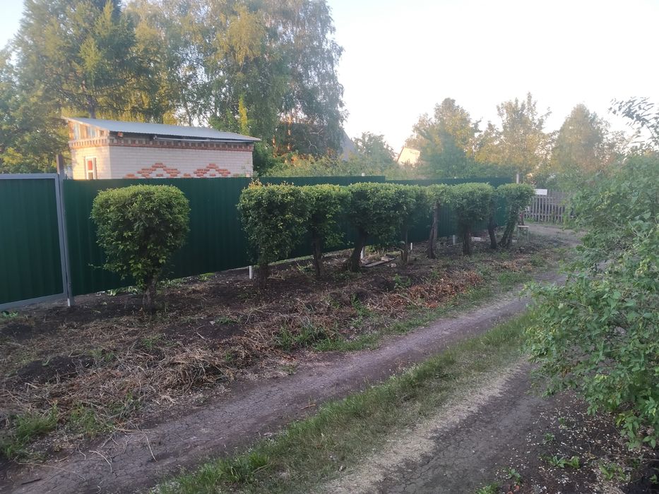 Продам дачу.  С/О Дружба.