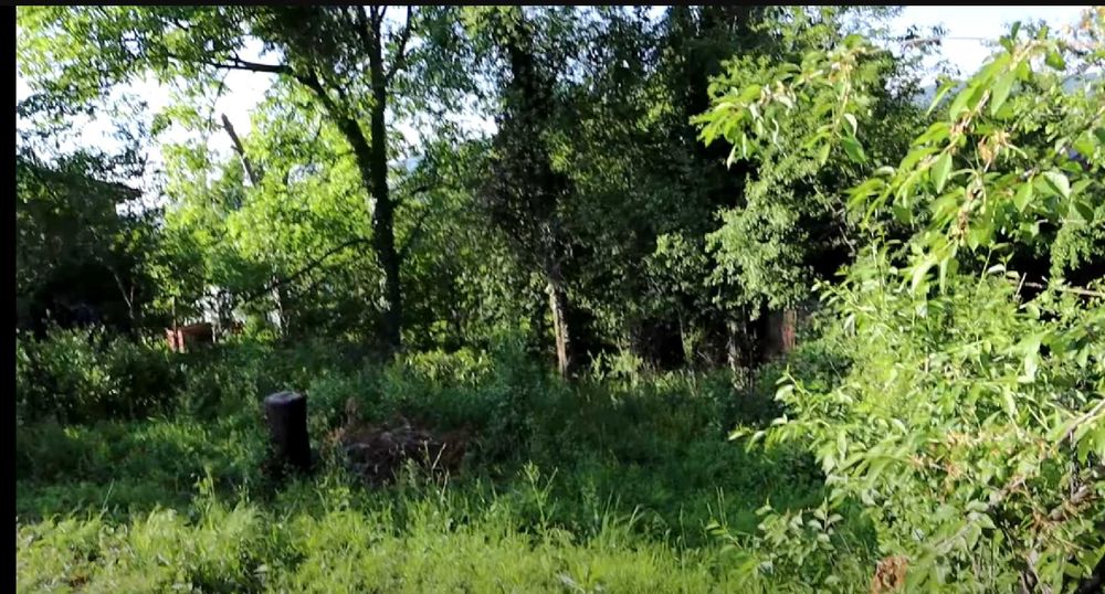 Продава се Къща в с. Рачевци, Област Габрово - 80 кв.м за 127 €/кв.м - Снимка #5