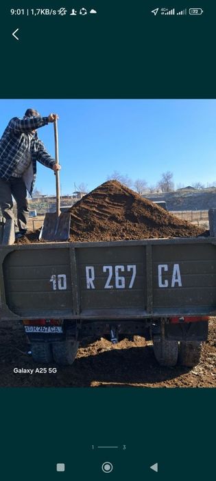 Go'ng bor arzon narxta toza chirigan