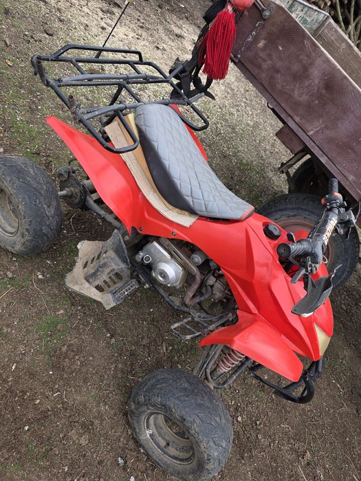 Iepe de vânzare,cu căruța și hamuri