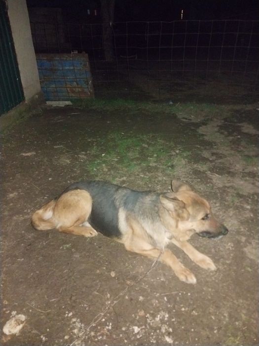 Нет гарантей... .