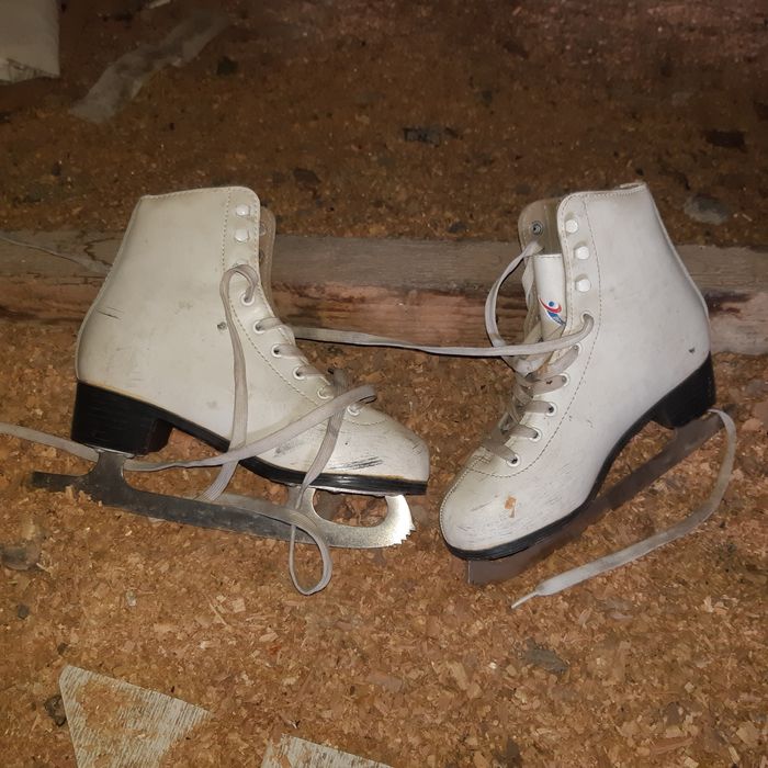 Продам коньки срочно