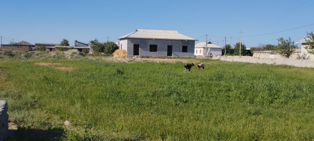 Uy sotiladi 12 sotix