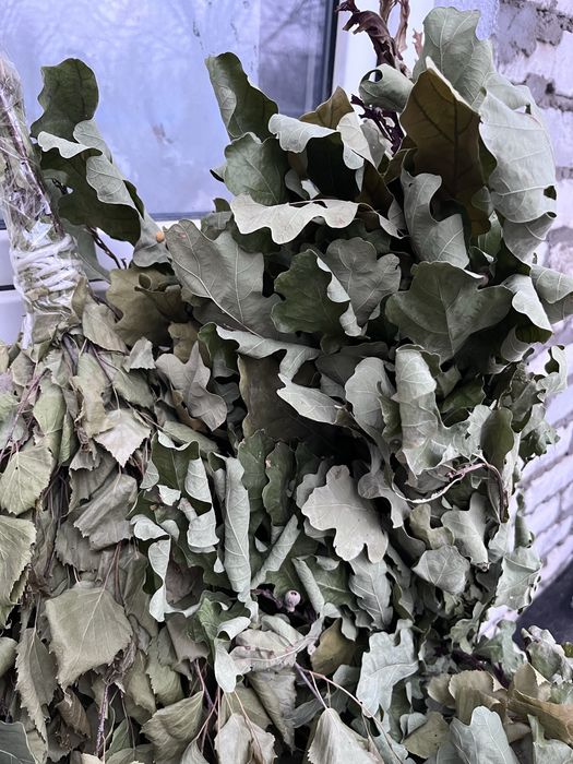 Веник для бани/сауны дубовый