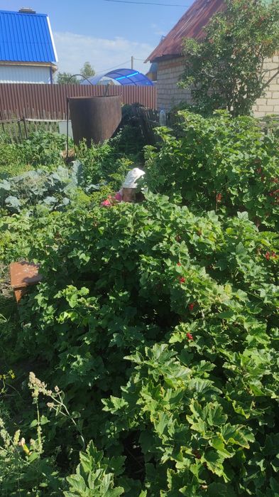 Продам дачу в Новопавловке