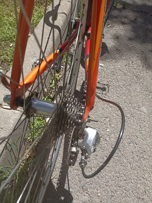 Panther Pro Race 6000 XL