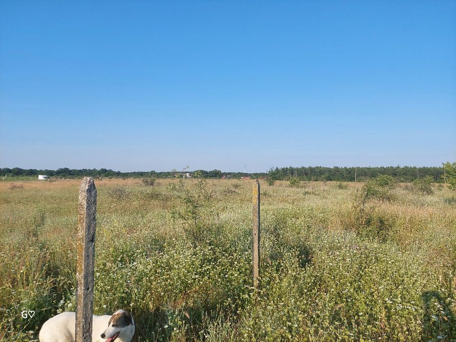 Парцел 10 декара с. Новаково