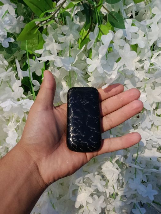 Novey senat                      .