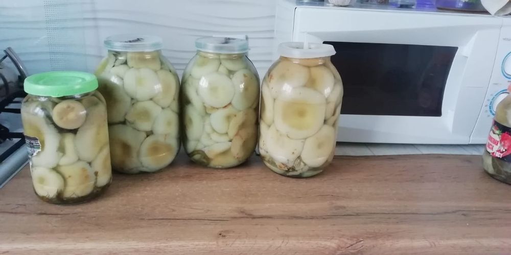 Продам грибы Грузди