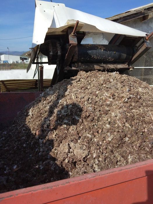 тор-птича тор--чиста