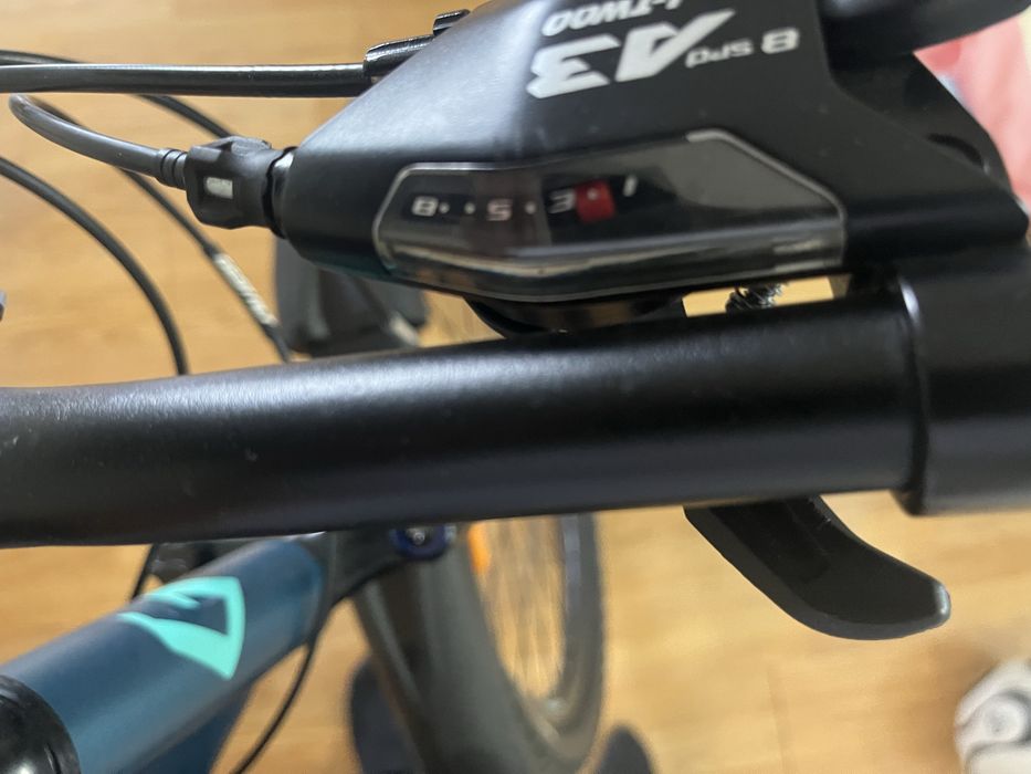 Gestalt Germany Срочно