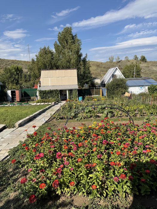 Продам дачу в Самсоновке