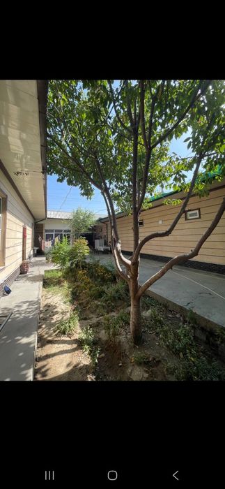 Арзон хостел мехмонхона Куйлюк