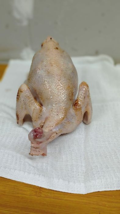 мясо куры домашние