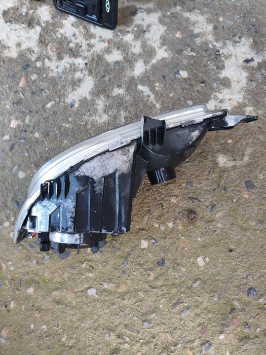 Jentra padfarnik (chap tomon)