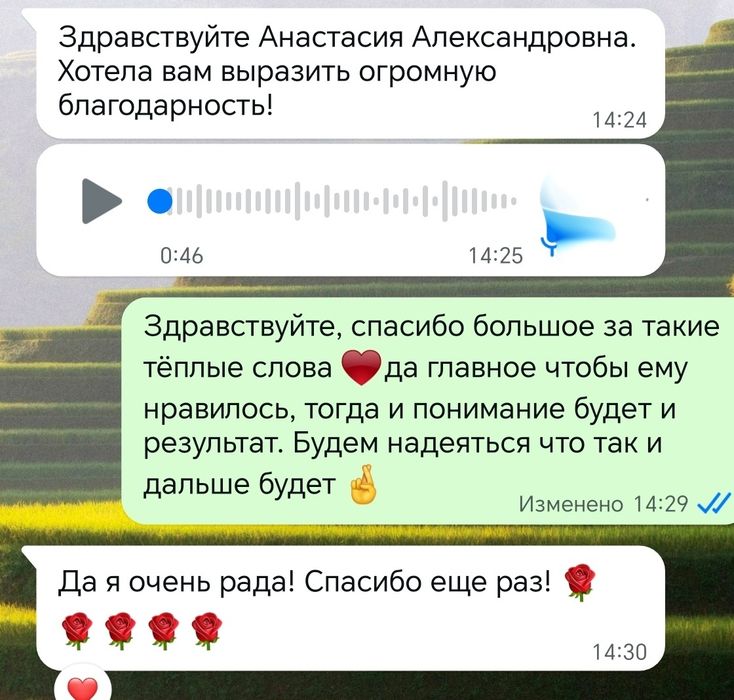 Репетитор по математике