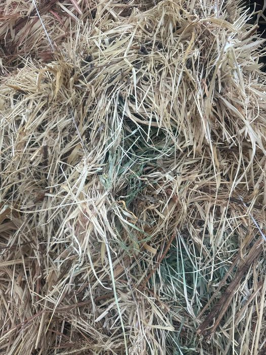 Продам сено срочно