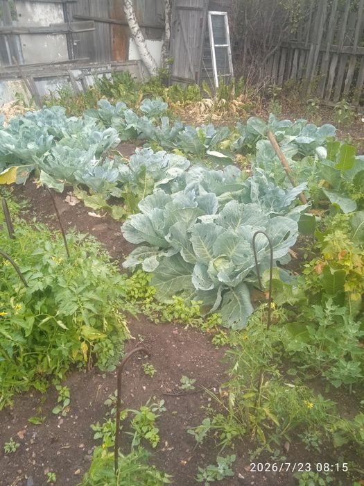 Продам дачу " Уралочка"