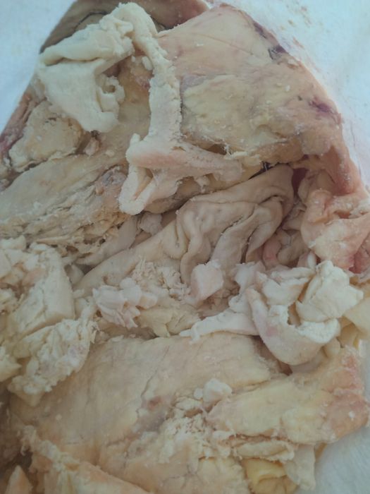 Жир гов. технический