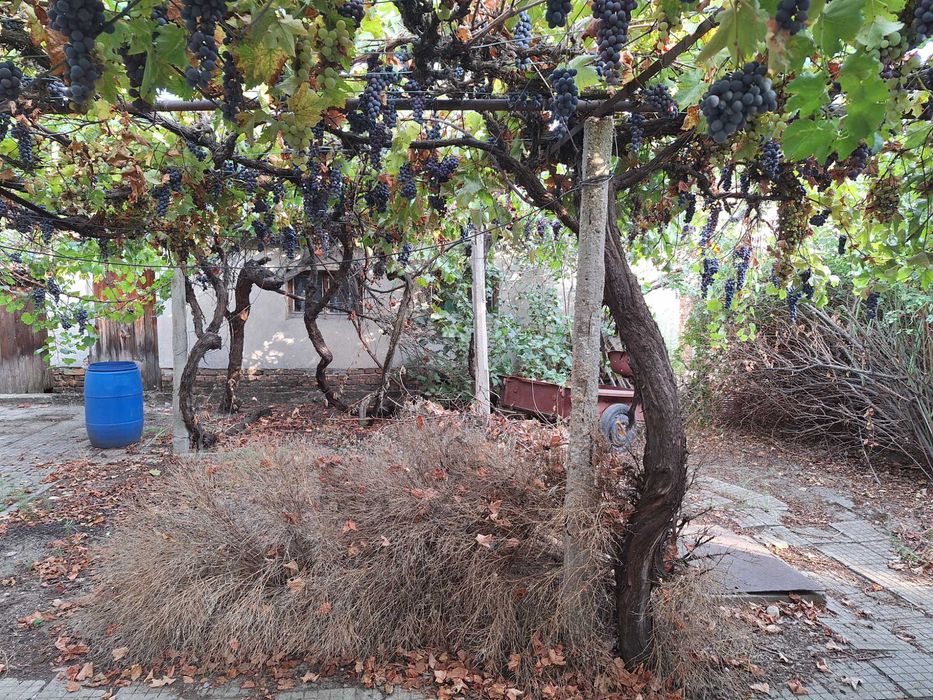 Продава се Къща в Съединение - 120 кв.м за 834 €/кв.м - Снимка #5