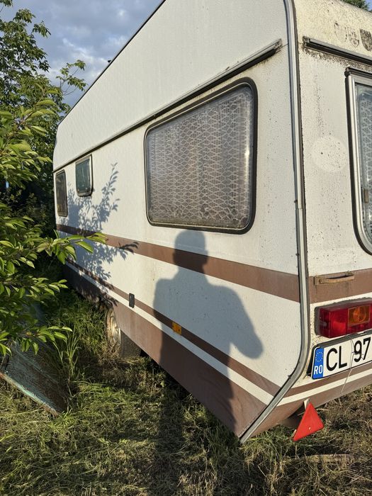Rulota caravan wilk