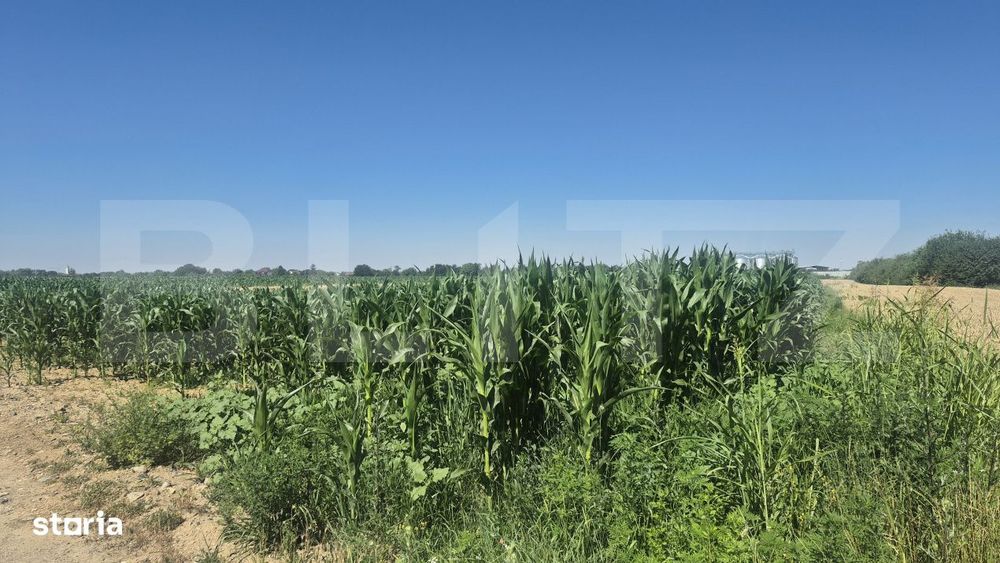 Teren intravilan de vanzare, 5700 mp, in Berindan-Odoreu