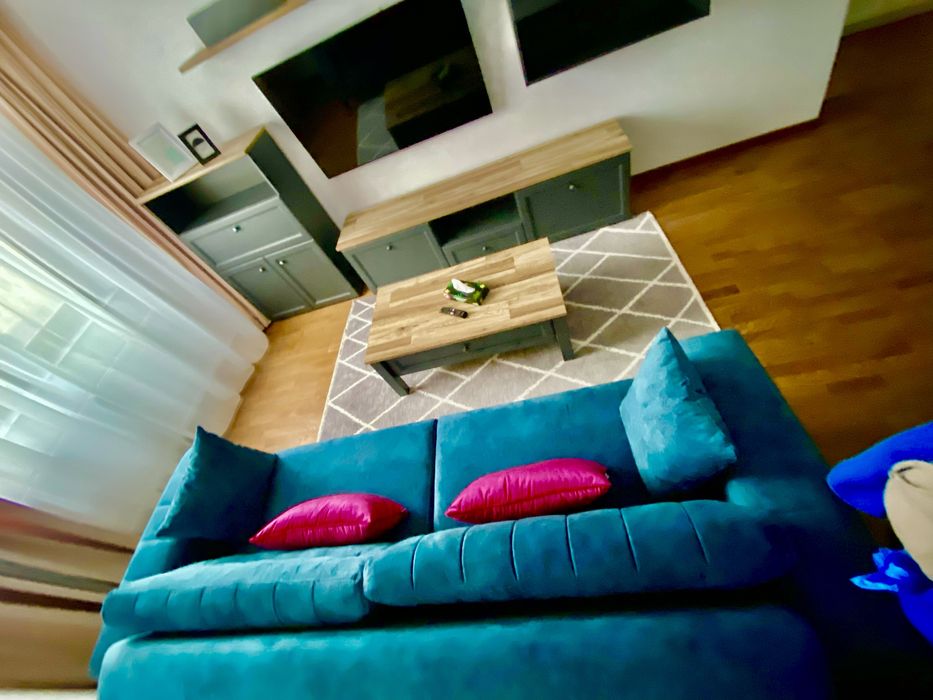 Regim hotelier Palas Tudor Nicolina