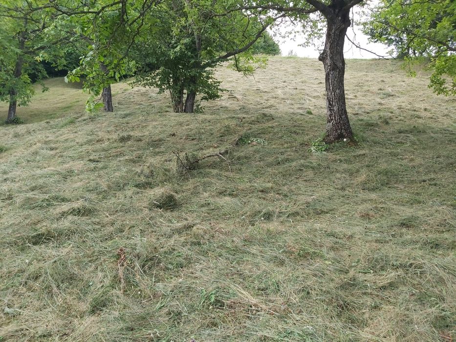 Servicii de tuns și cosit iarba