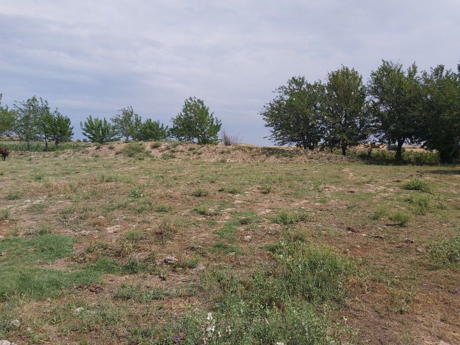 Ер сотилади, yer sotiladi, uy ўй