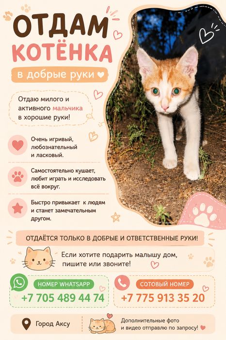 Милый рыжий котенок ищет любящий дом! Доп фото и видео скину в лс.