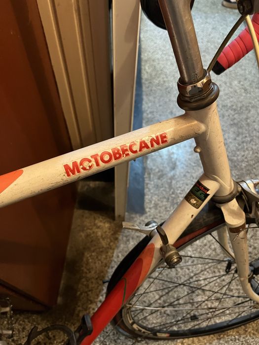 Френски бегач в добро състояние