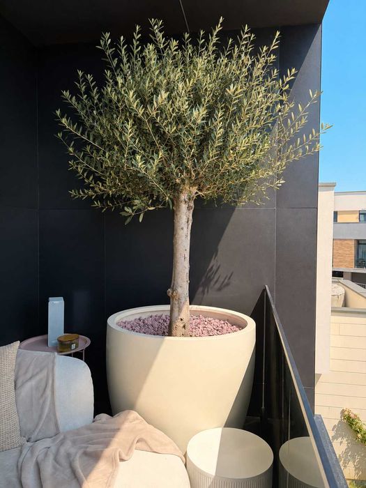 Ghivece si jardiniere premium din fibra de sticla - 60x60 si 80x80, culoare customizabila